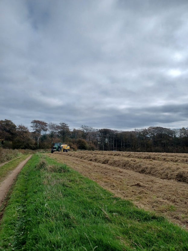 A tractor cutting grass in a field